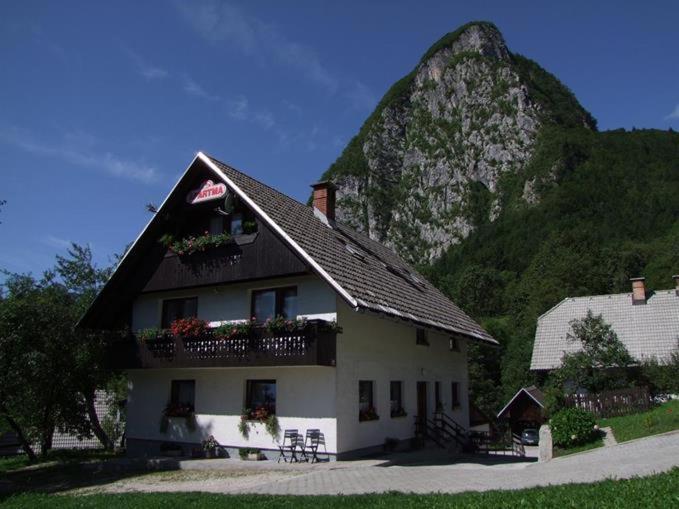 Apartments Joze Pekovec Bohinji-tó Kültér fotó