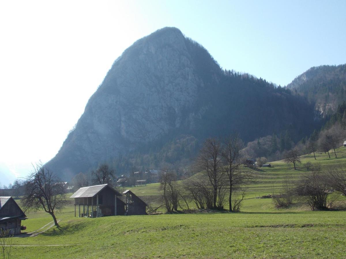 Apartments Joze Pekovec Bohinji-tó Kültér fotó