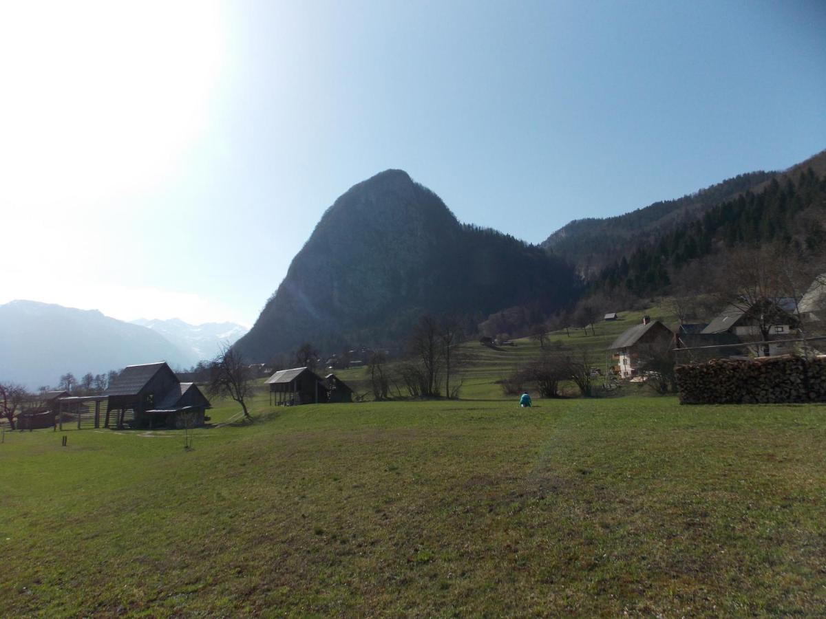 Apartments Joze Pekovec Bohinji-tó Kültér fotó